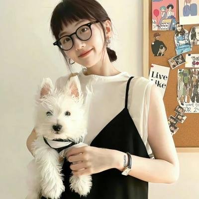 飓风行动：303中队